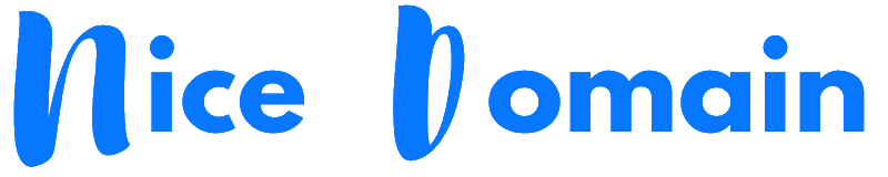 Nice Domain Logo